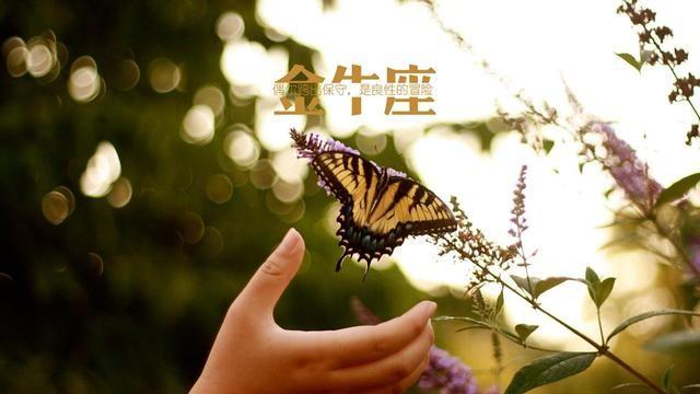 实力强劲黑马，成功逆袭晋级