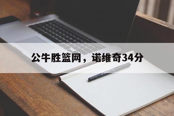 公牛胜篮网，诺维奇34分