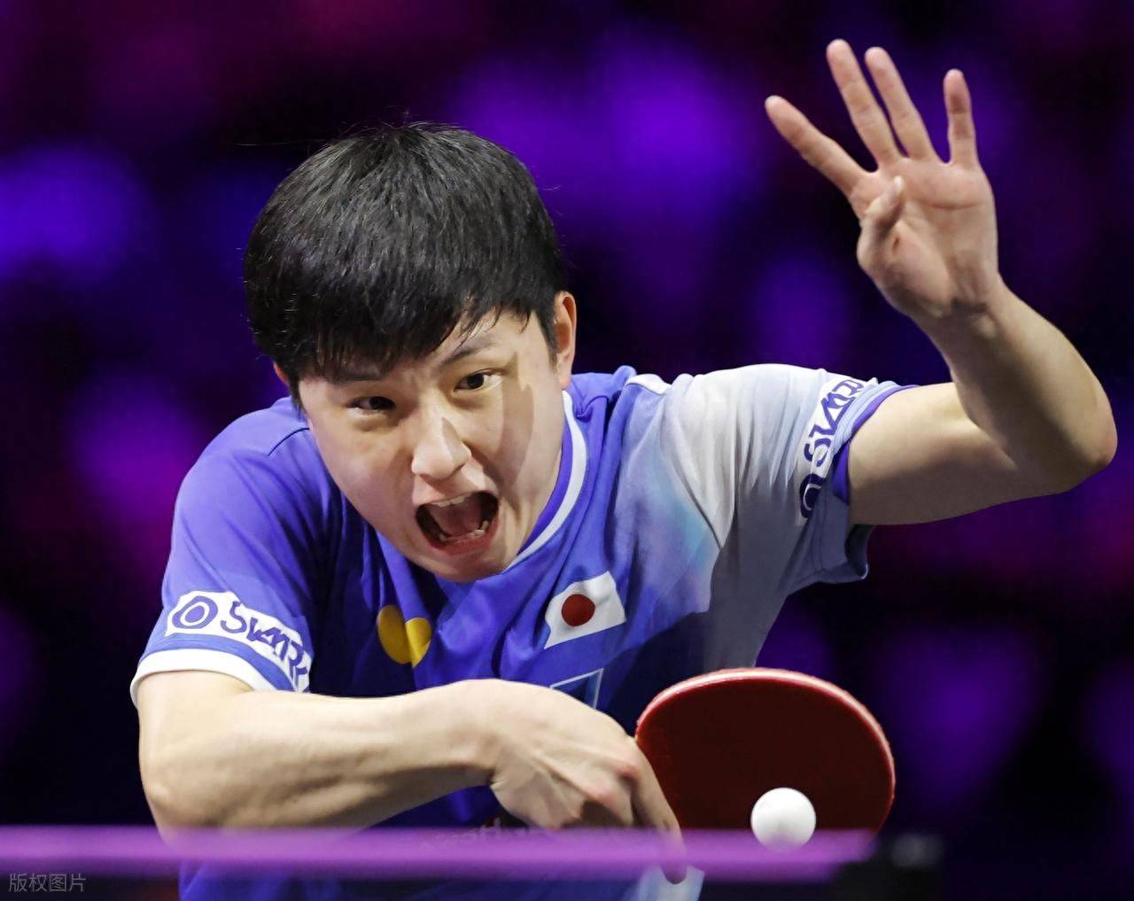 关于日本乒乓球队血洗德国乒乓球队，张本智和打破历史纪录的信息