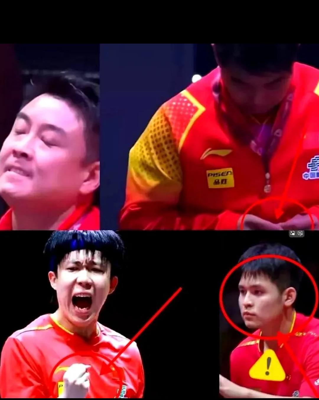 比利时乒乓球队横扫中国乒乓球队，王皓爆发神勇的简单介绍