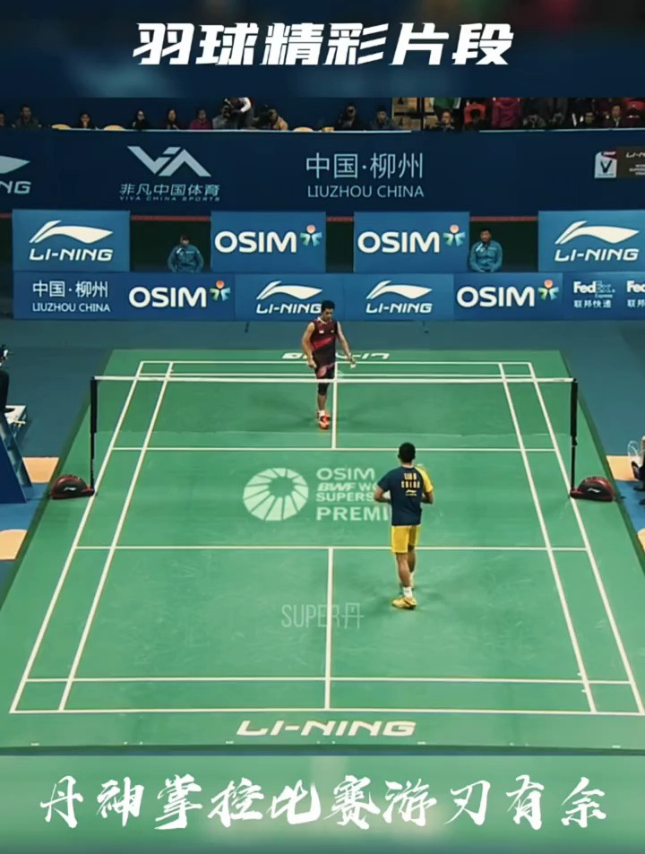 关于马来西亚羽毛球队翻盘印尼羽毛球队，林丹打破历史纪录的信息