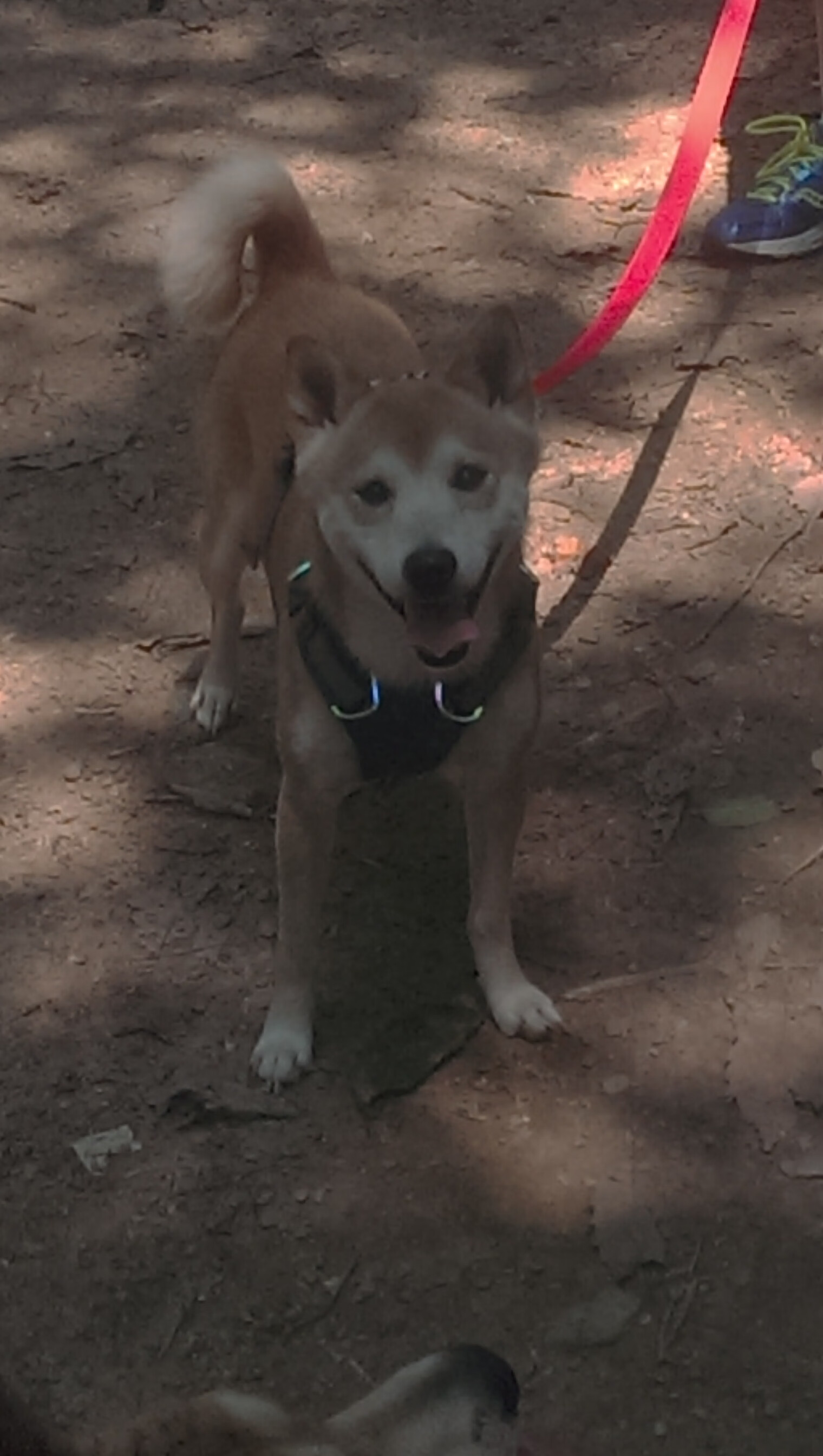 抢七之王,班凯罗点燃历史之夜