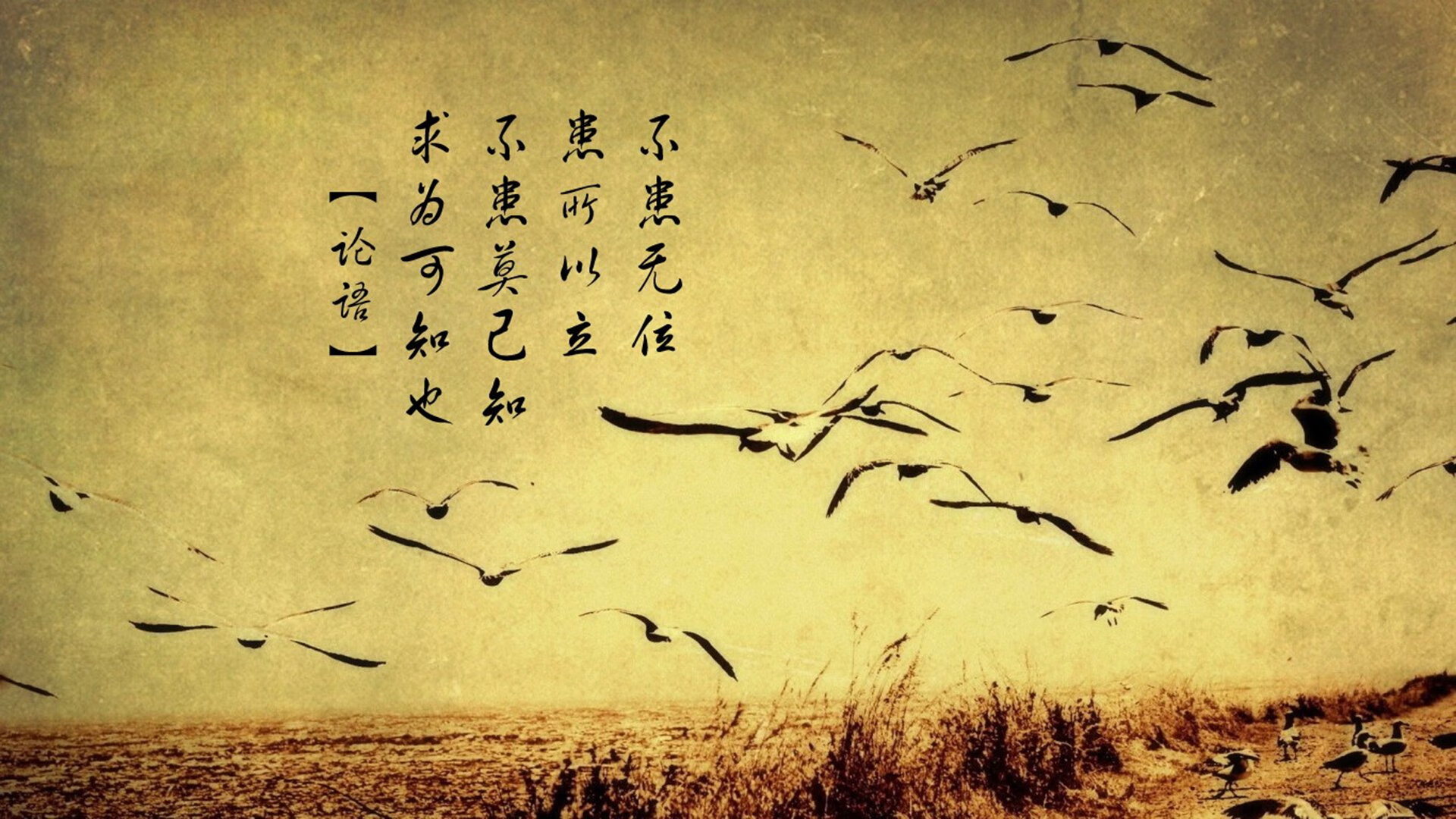 大帝征途与蓝橙风暴,当恩比德遇上游走于世界的尼克斯