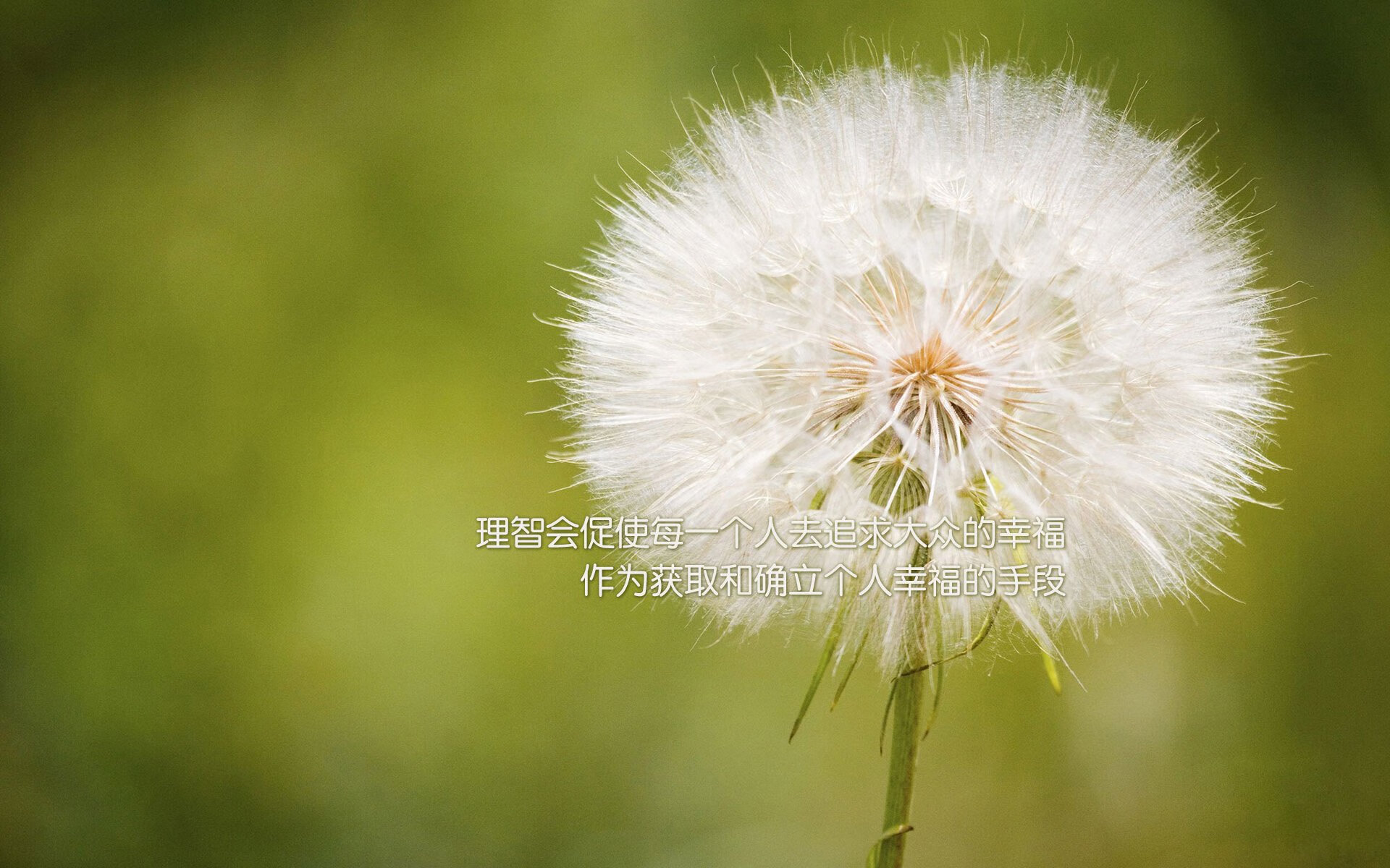 韩国决胜局力克丹麦，凯塞多数据全面爆炸引领电竞风云