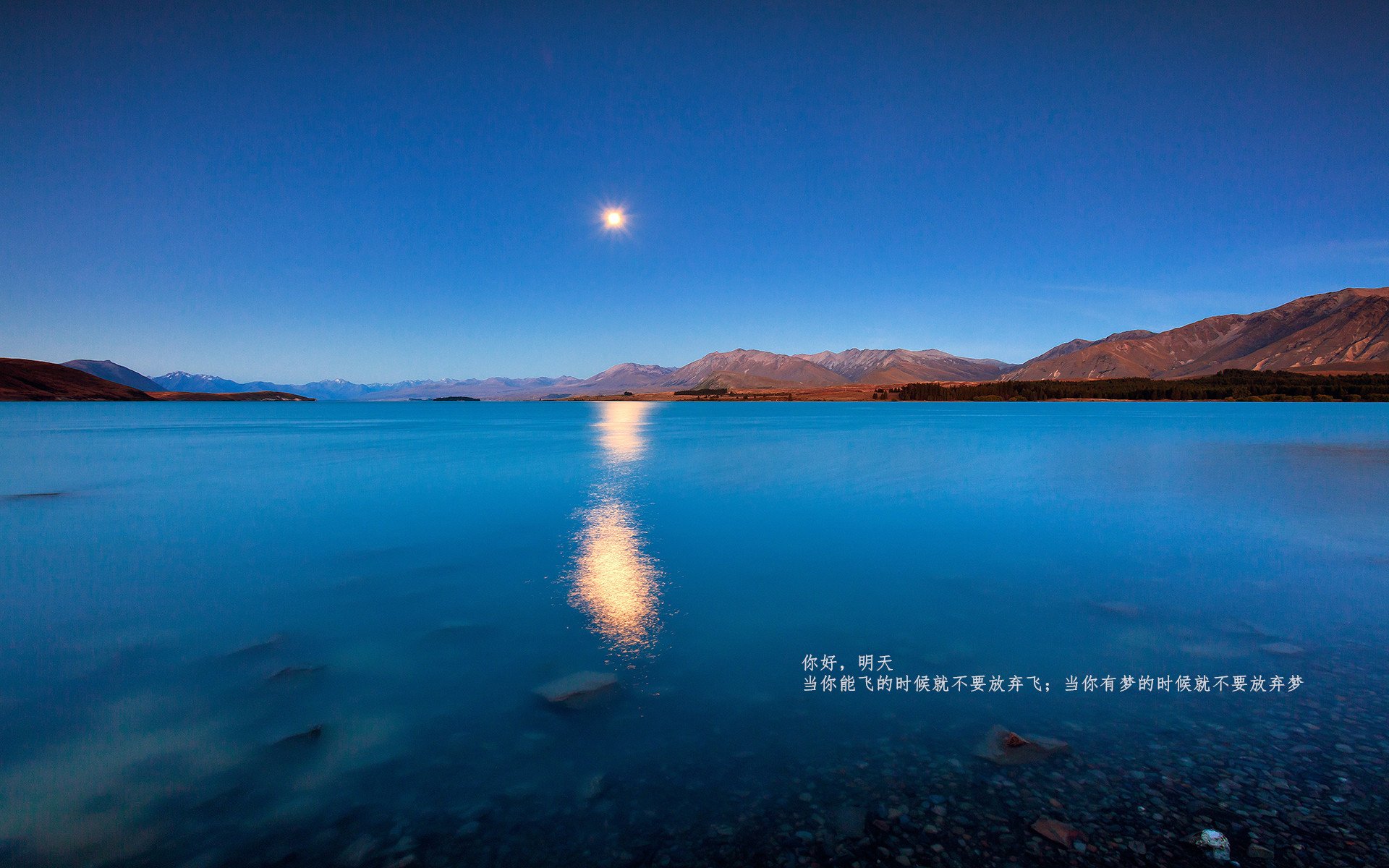 卡瓦哈尔主宰比赛，波兰强势击退尼日利亚