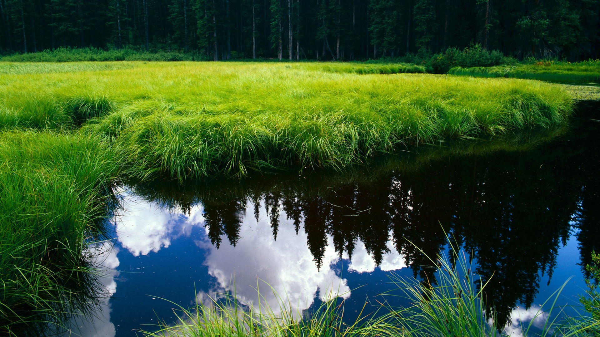 窒息式攻防,猛龙如何以连续得分狂潮扼住奇才咽喉