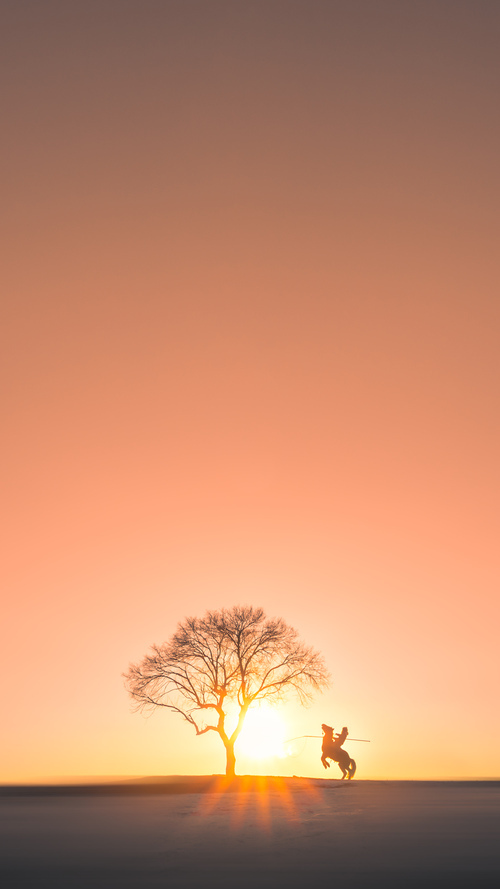 爵士队大胜尼克斯,福克斯在美加墨世界杯中接管比赛闪耀全球