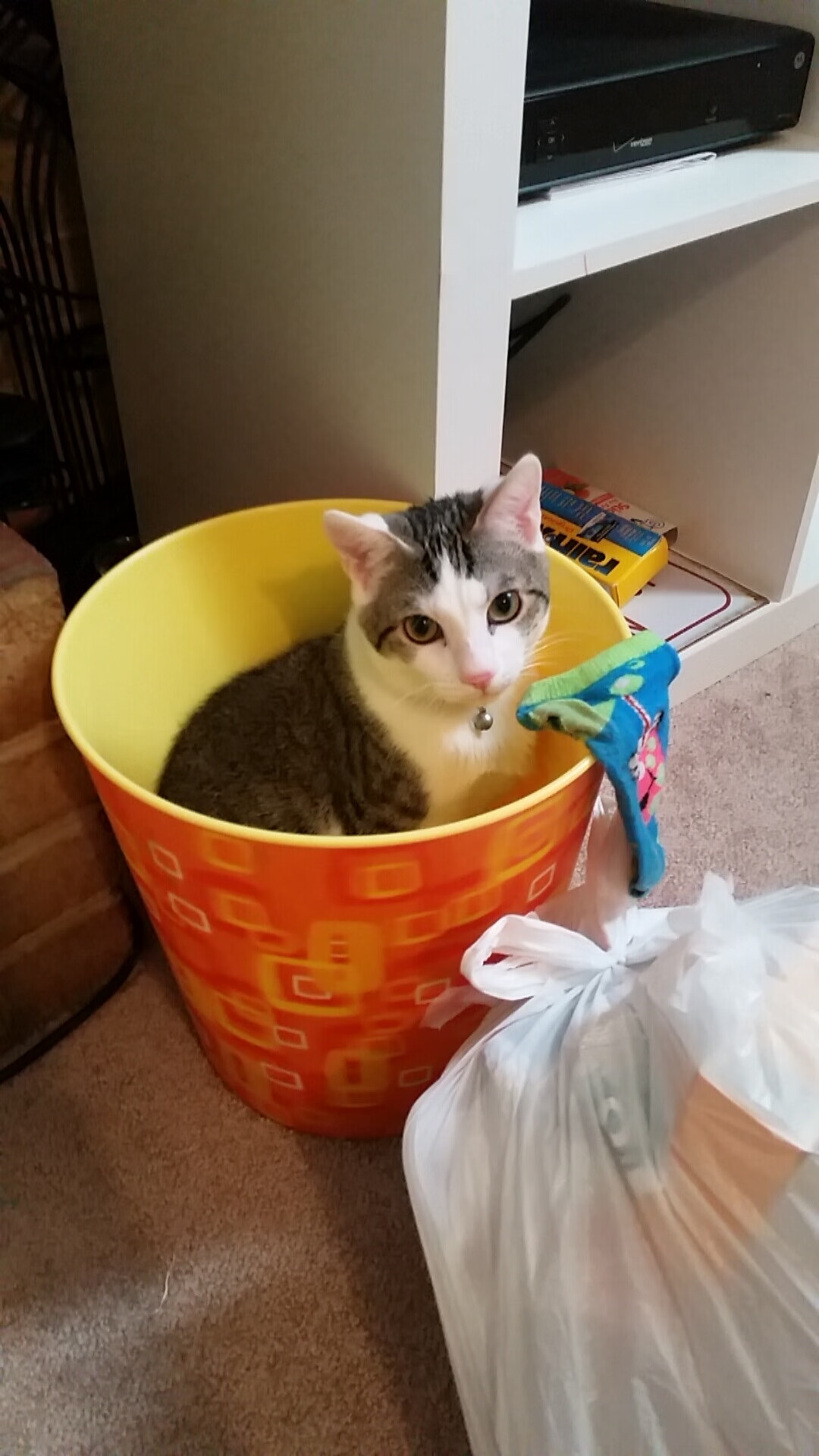 智能程序与齿轮，当哈利伯顿的稳定输出，遇上独行侠的节奏淬火