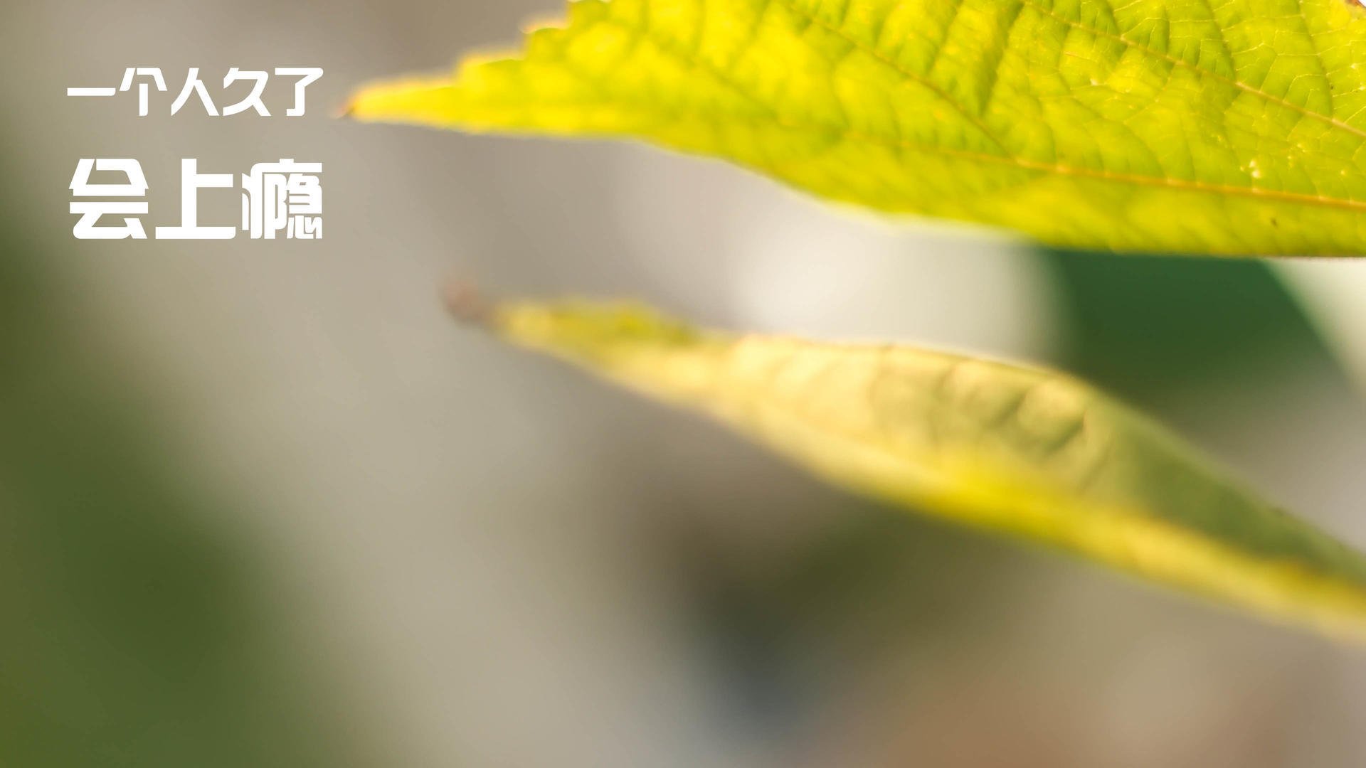 绝境之王！福登抢七夜一剑封喉，照亮悬崖边的路