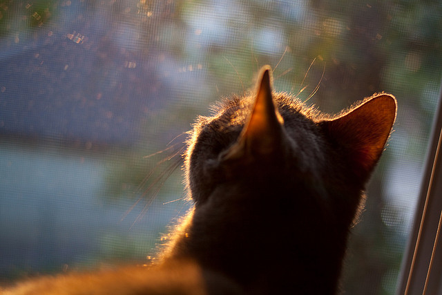 若日尼奥压制级发挥引领中场革命，芬兰黑马奇迹般粉碎勒沃库森不败神话