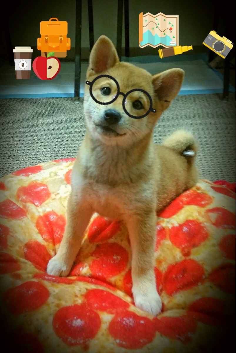 硬仗中的双雄，马刺力克奇才显团队韧性，福克斯东决关键战独揽乾坤