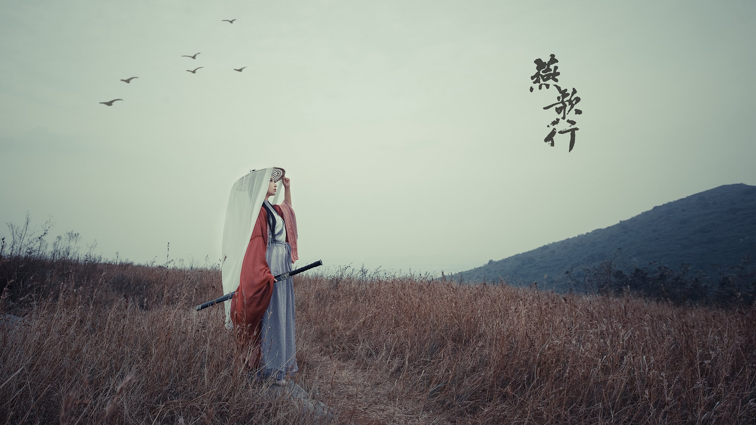 极速与绿茵的共振，当F1争冠悬念遇上中阿足球生死战