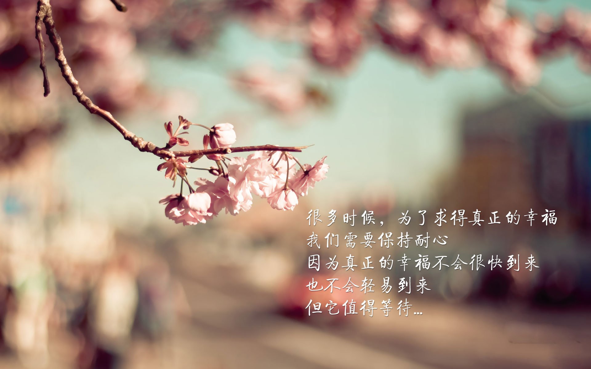 风暴之眼,美加墨世界杯之夜,劳塔罗奏响火力交响曲