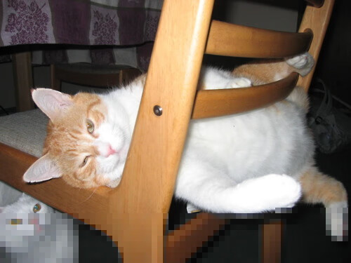 主宰丹佛高原，塔图姆神级掌控，奇才爆冷掀翻掘金