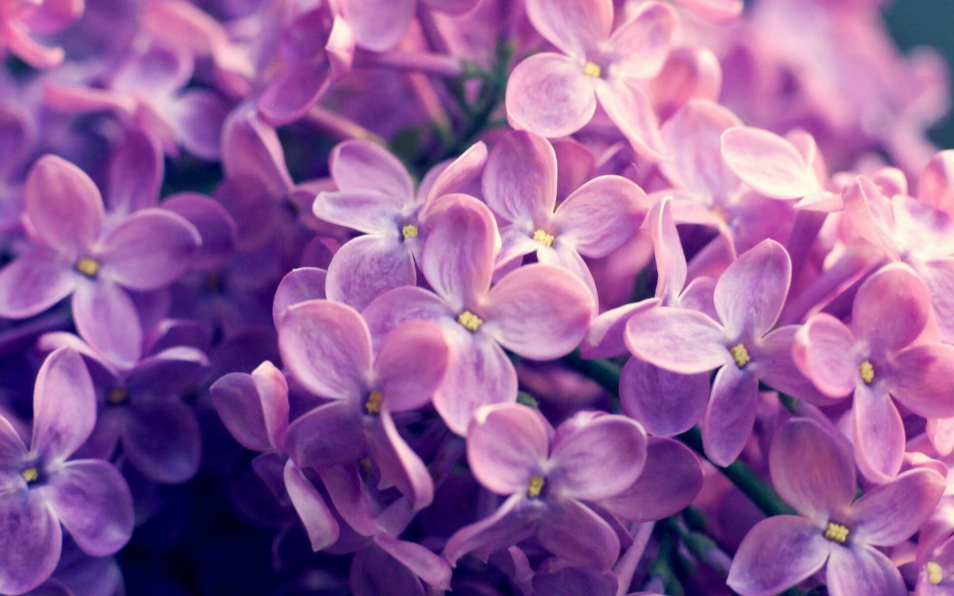 单核破局，英格拉姆化身攻防转换核心，辽宁惊险逆转雄鹿